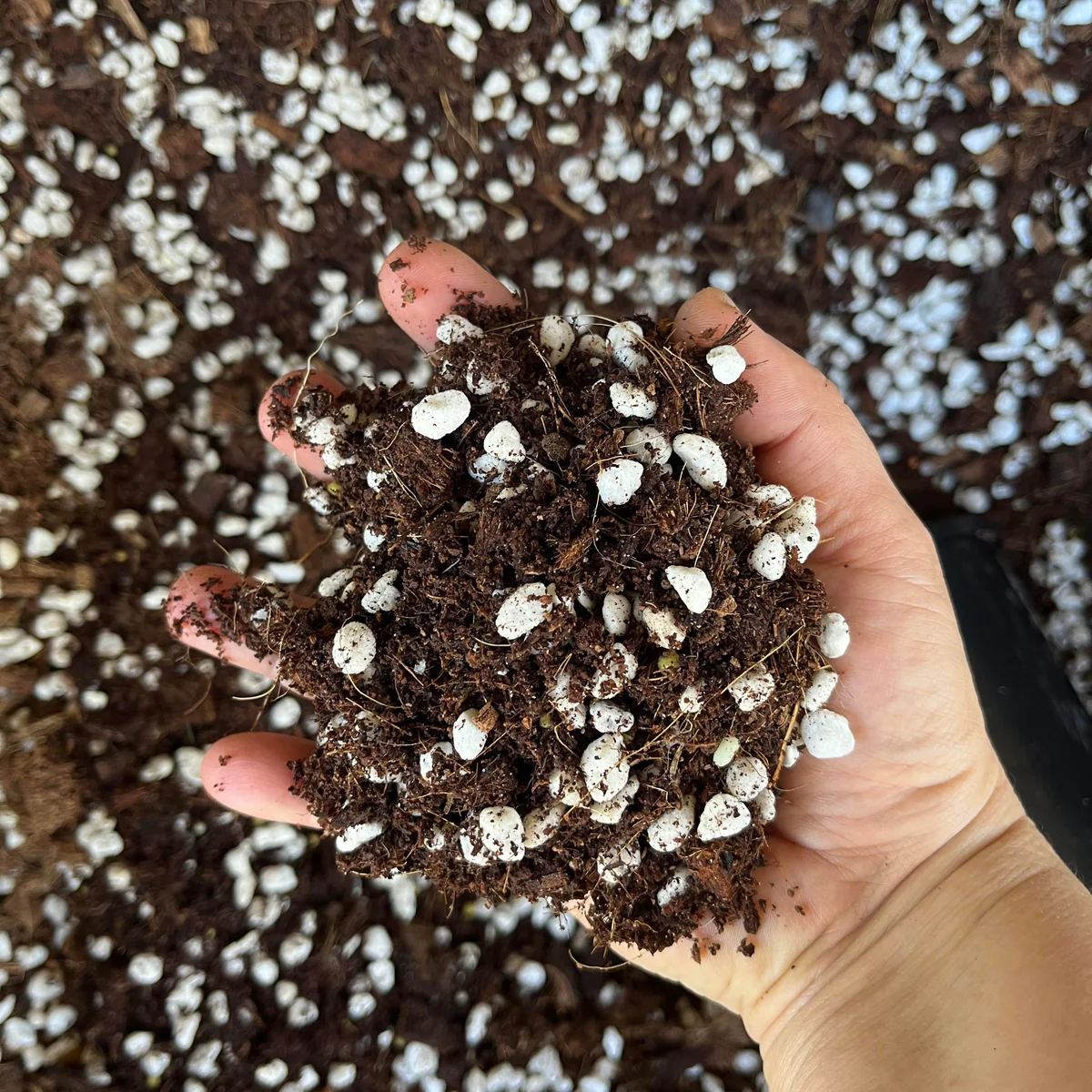 Well Draining Soil Mix